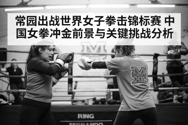 female boxer training