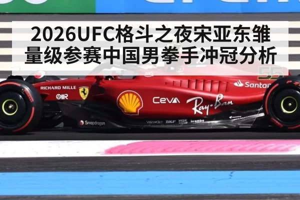 2026UFC格斗之夜宋亚东雏量级参赛中国男拳手冲冠分析